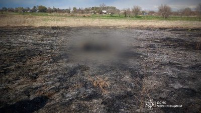 Під час пожежі сухої трави на Чернігівщині загинув чоловік