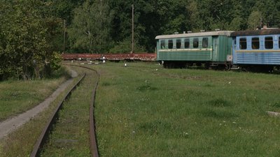Вузькоколійка