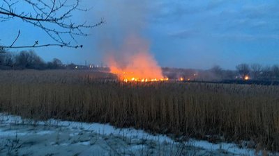 Трава та очерет: на Рівненщині погасили першу пожежу сухостою – ДСНС Трава та очерет: на Рівненщині погасили першу пожежу сухостою – ДСНС