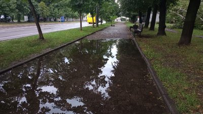 Гроза в Івано-Франківську: підтоплені вулиці та повалені дерева Гроза в Івано-Франківську: підтоплені вулиці та повалені дерева