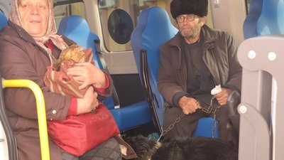 "Що чекати? Допоки нас отам приб’ють?". Як відбувається евакуація з Великописарівської громади на Сумщині "Що чекати? Допоки нас отам приб’ють?". Як відбувається евакуація з Великописарівської громади на Сумщині