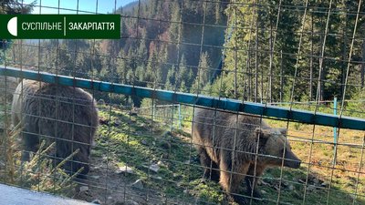 Екоакція "Пластик віддавай – квиток забирай" триває в НПП "Синевир" Екоакція "Пластик віддавай – квиток забирай" триває в НПП "Синевир"