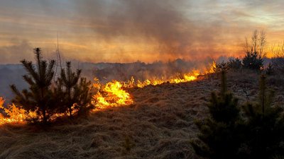 На Волині загасили 16 пожеж за добу на загальній площі 40 га На Волині загасили 16 пожеж за добу на загальній площі 40 га
