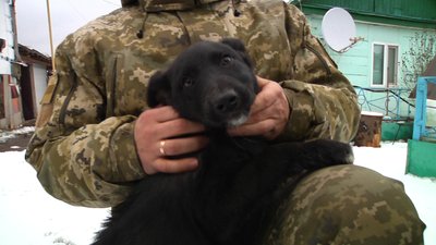 Викинуте під Житомиром у закоркованій пляшці цуценя врятував прикордонник