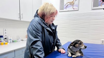 Волонтерка Орися Терлецька з собакою Ельзою Волонтерка Орися Терлецька з собакою Ельзою