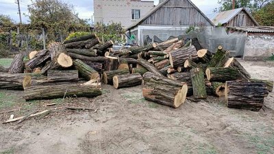 З початку року в Україні зафіксували понад 160 млн грн збитків через екозлочини — ДБР