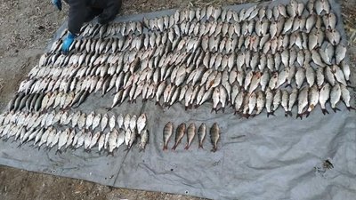 Збитків на 27 тисяч гривень: на Херсонщині затримано двох браконьєрів