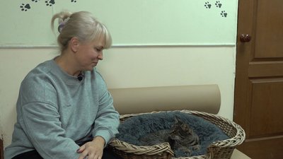 Наталія Нефедова пропонує створити в Черкасах міський притулок для котів