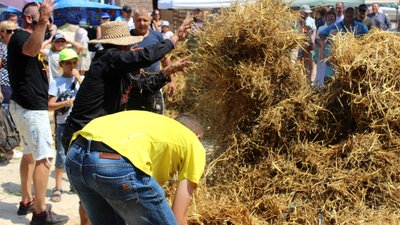 На "Крутому Замісі" на Черкащині шукали Сонцезавра та будували хату-мазанку На "Крутому Замісі" на Черкащині шукали Сонцезавра та будували хату-мазанку