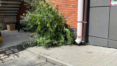 Аудит доступності: чи пристосовані Черкаси для людей на візку Аудит доступності: чи пристосовані Черкаси для людей на візку