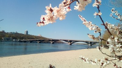 Потепління і подекуди дощі з грозами. Погода в Україні на 10 травня