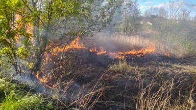 Горіло майже в кожному районі: за добу на Черкащині зафіксували сім пожеж сміття та сухостою Горіло майже в кожному районі: за добу на Черкащині зафіксували сім пожеж сміття та сухостою