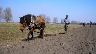Мін’юст пояснив, як зареєструвати право власності на земельний пай