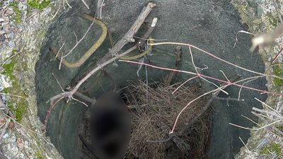 Загрожує довічне ув'язнення: на Черкащині чоловік під час застілля вбив двох людей