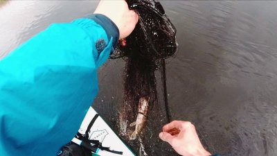 Екологія водойм на Черкащині: Сула річка Екологія водойм на Черкащині: Сула річка