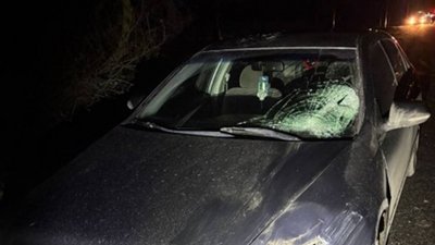 У ДТП загинула жінка на Вінниччині