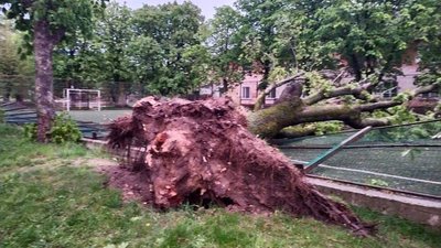 Зірваний дах та повалені дерева – наслідки шквального вітру на Сумщині