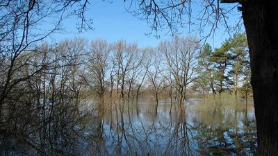 Повінь на Десні: гідрологи фіксують найбільший рівень води за 9 років Повінь на Десні: гідрологи фіксують найбільший рівень води за 9 років
