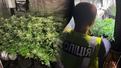 Наркотики на Чернігівщині: під час спецоперації поліція вилучила 8 кг канабісу
