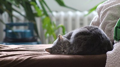 Розпочали з медзакладів, на черзі — дитсадки: міський голова Черкас розповів про опалювальний сезон