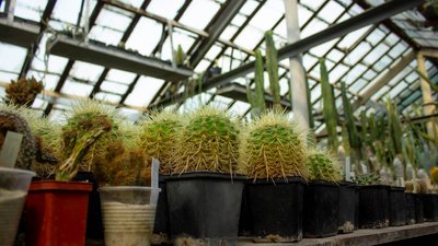 Робота у саду: як працює Харківський ботанічний сад Робота у саду: як працює Харківський ботанічний сад