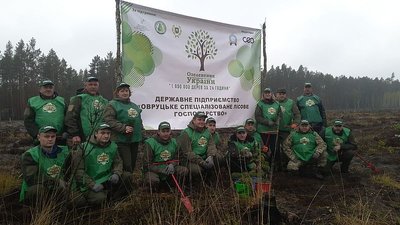 На Житомирщині висадили понад 300 тисяч саджанців в рамках проєкту "Мільйон дерев за 24 години"