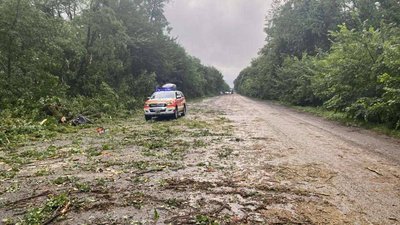 Повалені понад півсотні дерев: показали наслідки негоди на Вінниччині Повалені понад півсотні дерев: показали наслідки негоди на Вінниччині