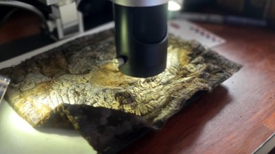 У селі на Волині досліджують поховальні пам'ятки XI–XVIII століть У селі на Волині досліджують поховальні пам'ятки XI–XVIII століть
