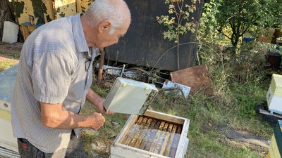 Мед з деокупованих Циркунів на Харківщині відзначили на міжнародній виставці у Лондоні Мед з деокупованих Циркунів на Харківщині відзначили на міжнародній виставці у Лондоні