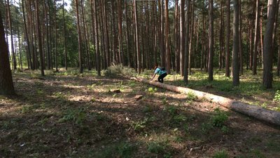 "Тут — це відпочинок". Як на Львівщині змагаються команди вальників лісу "Тут — це відпочинок". Як на Львівщині змагаються команди вальників лісу