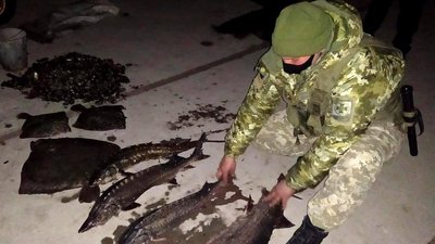 На Херсонщині браконьєр наловив риби на понад 1 мільйон грн На Херсонщині браконьєр наловив риби на понад 1 мільйон грн