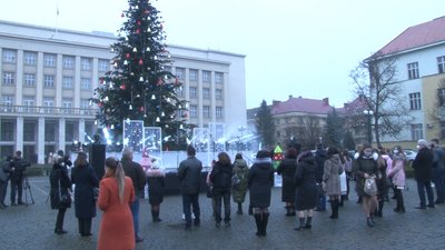 17-метрову головну ялинку Закарпаття привезли до Ужгорода з Сюрте