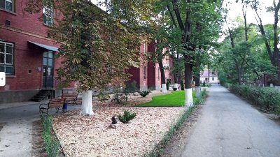 На сайті Президента України створили петицію проти об'єднання двох медзакладів в Одесі