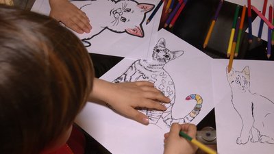 "Всі тваринки мають терапевтичний ефект". У Кропивницькому дітям для психологічної підтримки пропонують котячу терапію "Всі тваринки мають терапевтичний ефект". У Кропивницькому дітям для психологічної підтримки пропонують котячу терапію