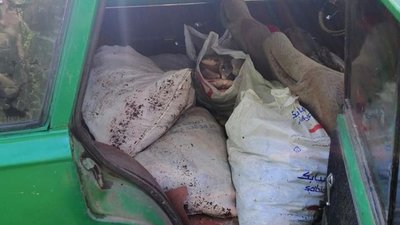 У Каневі на Черкащині впіймали браконьєрів У Каневі на Черкащині впіймали браконьєрів