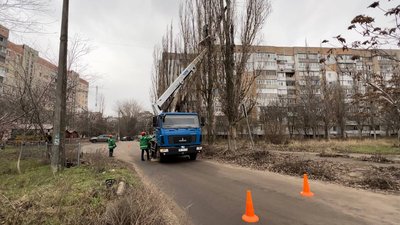 З початку повномасштабної війни в Миколаєві демонтували близько 1500 тополь З початку повномасштабної війни в Миколаєві демонтували близько 1500 тополь