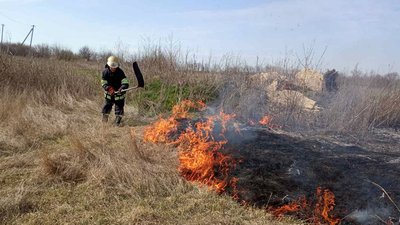 На Дніпропетровщині протягом дня гасили декілька пожеж в екосистемах