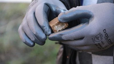 На Вінниччині з літака скидатимуть вакцину від сказу хижих тварин. Людей просять їх не чіпати