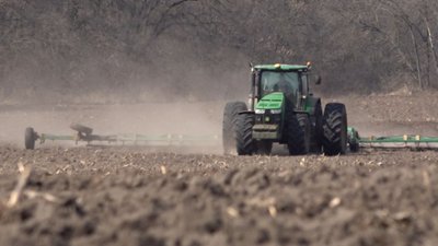 На Черкащині засіяли понад 80% озимини — керівник ОВА