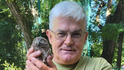 Пташеня сича, Одеський зоопарк
