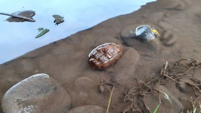 ФОТО: ДСНС України у Закарпатській області ФОТО: ДСНС України у Закарпатській області