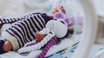 500 пар за два місяці: шкарпетки для захисників в'яжуть майстрині на Вінниччині 500 пар за два місяці: шкарпетки для захисників в'яжуть майстрині на Вінниччині