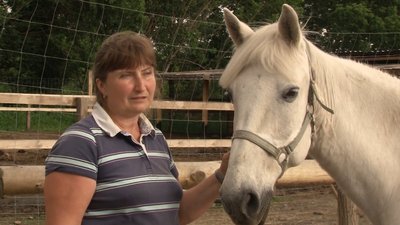 У Черкасах облаштували реабілітаційний парк У Черкасах облаштували реабілітаційний парк