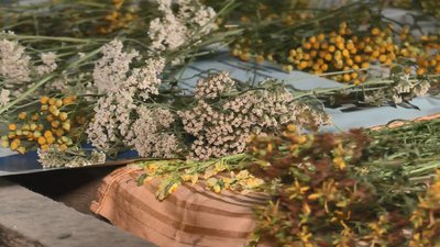 "Випий чаю з Чорнобаю": на Черкащині молодь готує чаї для військових