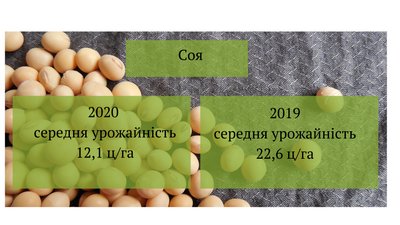 Низькі врожаї: аграрії Черкащини продовжують збір зернових культур Низькі врожаї: аграрії Черкащини продовжують збір зернових культур