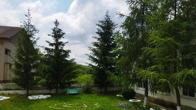 Прикарпатське село над Дністром запрошує жити людей Прикарпатське село над Дністром запрошує жити людей