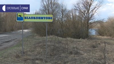 "Не вистачає води". В озері на Сумщині вимирає риба