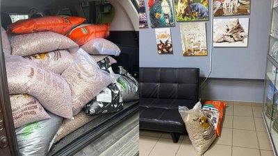"Котики на е*учей войне". Як в Одесі допомагають притулкам з тваринами "Котики на е*учей войне". Як в Одесі допомагають притулкам з тваринами