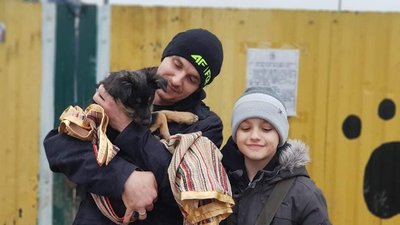 Рекордний 2020. Прикарпатський притулок для тварин підсумував свою роботу