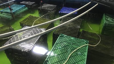 "Прийшов до тями, подивився на ноги, а їх немає" — військовослужбовець 95 десантно-штурмової бригади Микола Тарасенко "Прийшов до тями, подивився на ноги, а їх немає" — військовослужбовець 95 десантно-штурмової бригади Микола Тарасенко